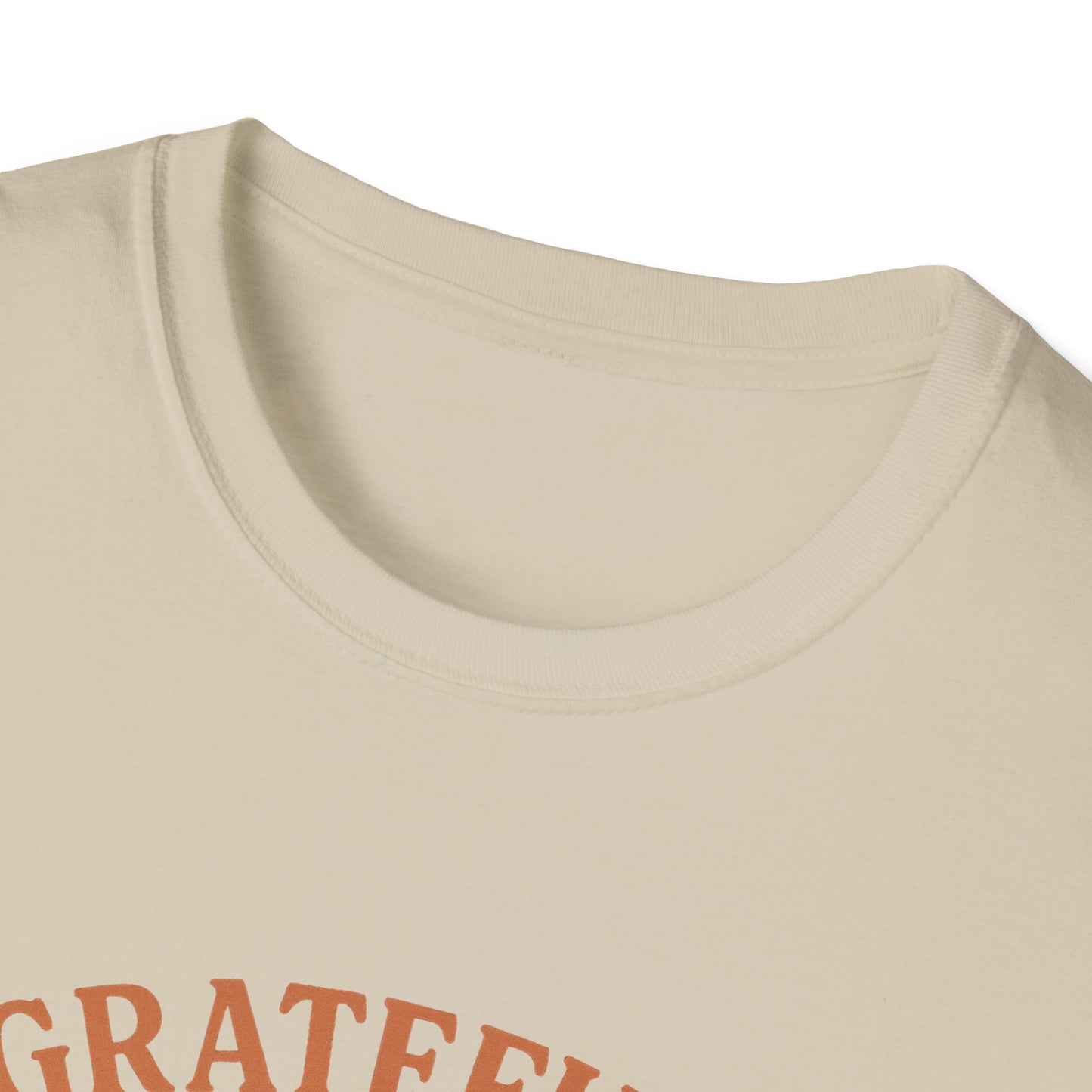 Grateful for My Cat T-Shirt