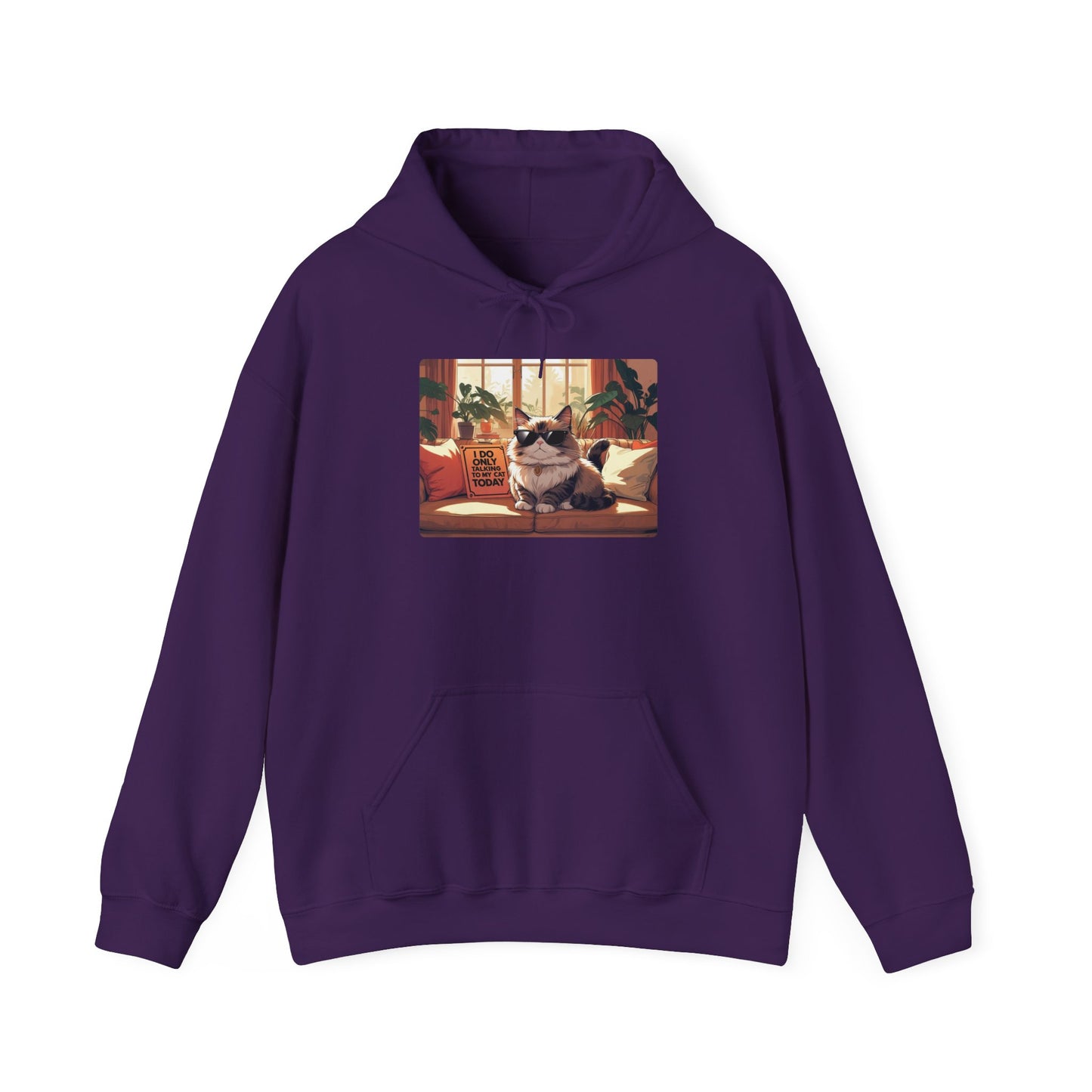 I Do Only Talking to My Cat Today Hoodie