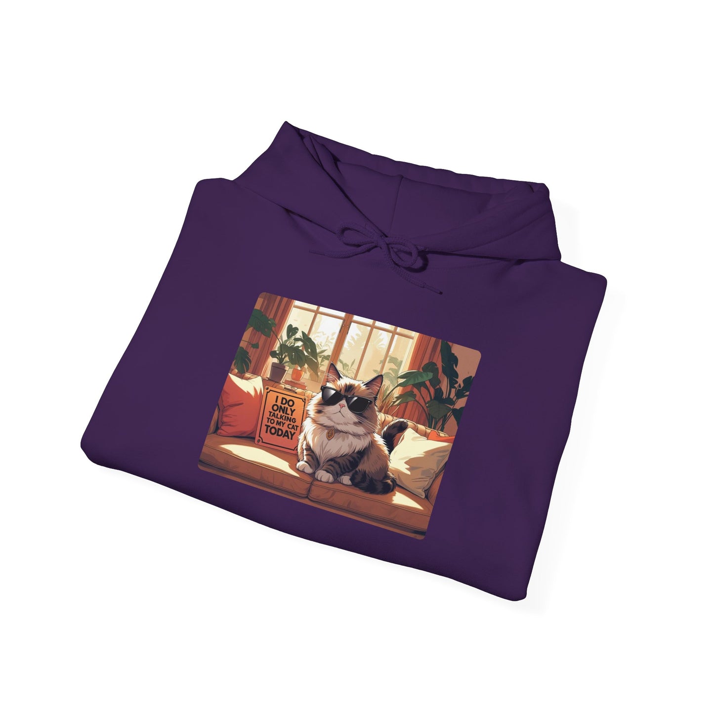 I Do Only Talking to My Cat Today Hoodie