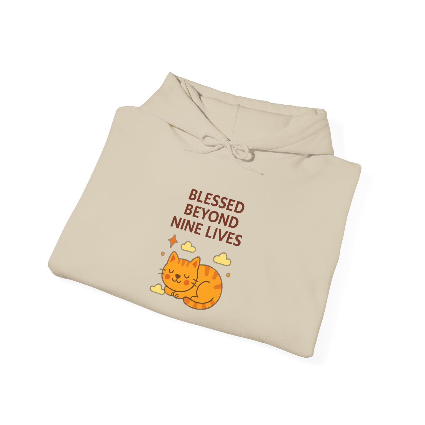 Blessed Beyond Nine Lives Hoodie