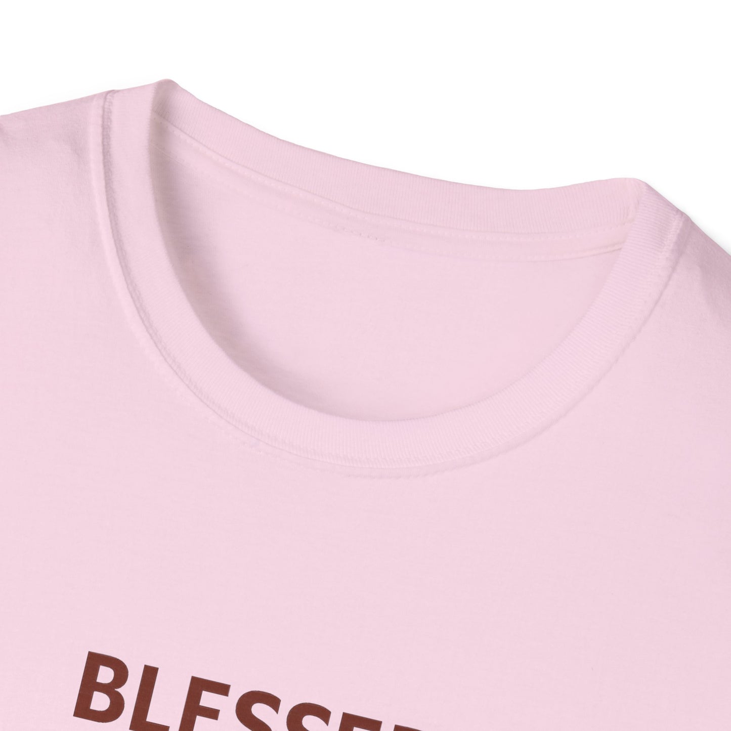 Blessed Beyond Nine Lives T-Shirt