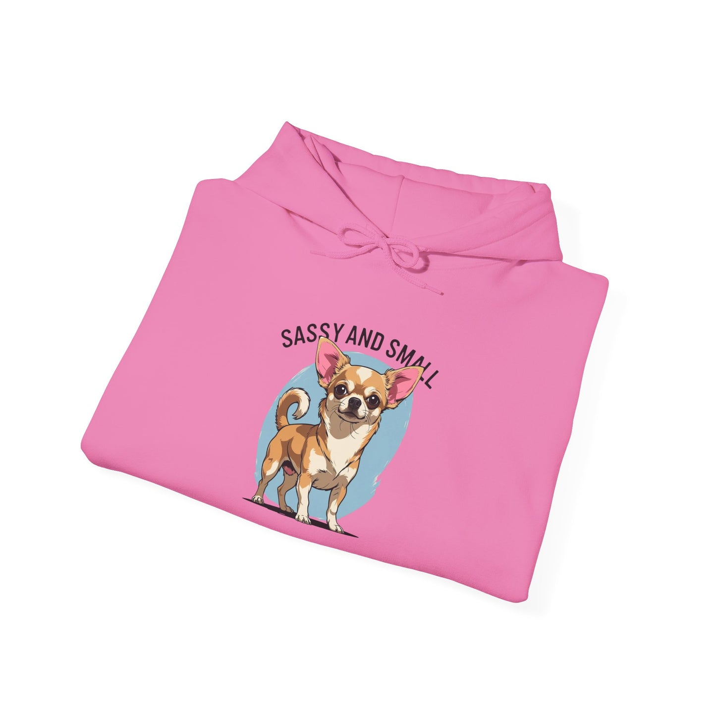 Sassy And Small Hoodie