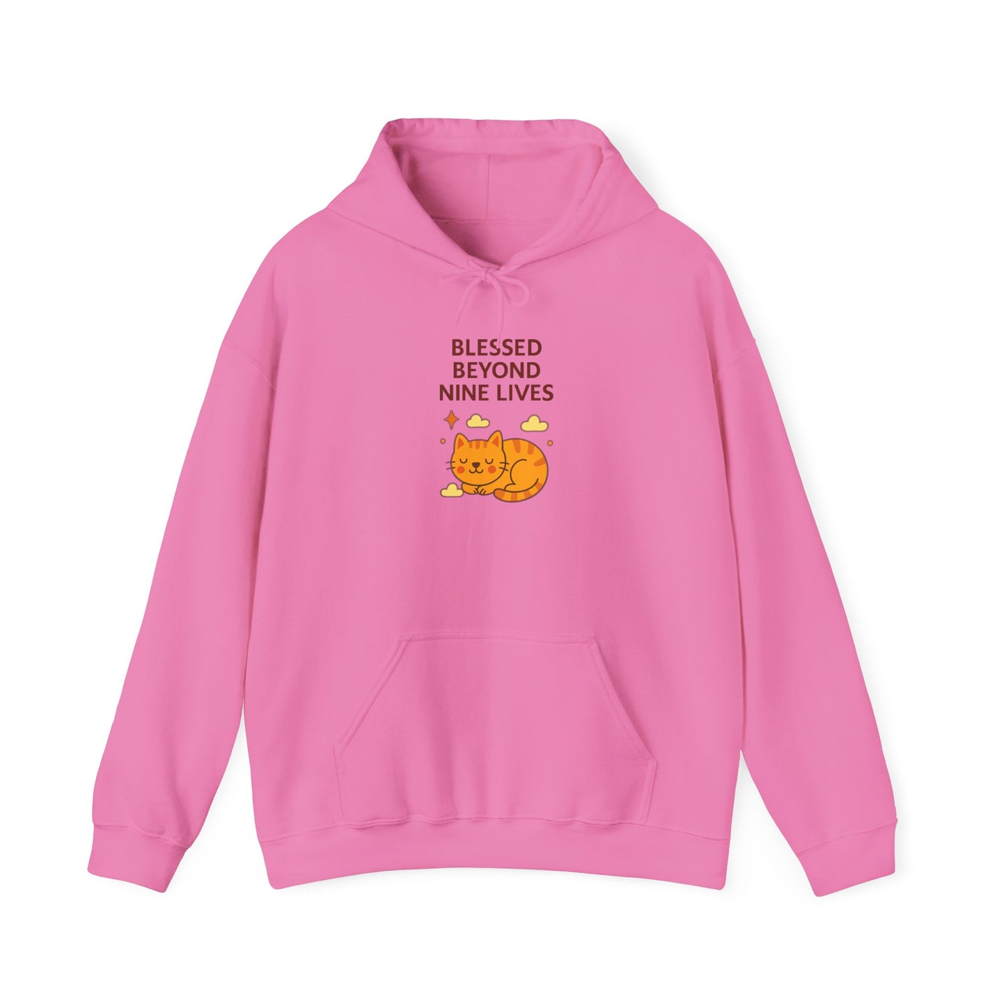 Blessed Beyond Nine Lives Hoodie