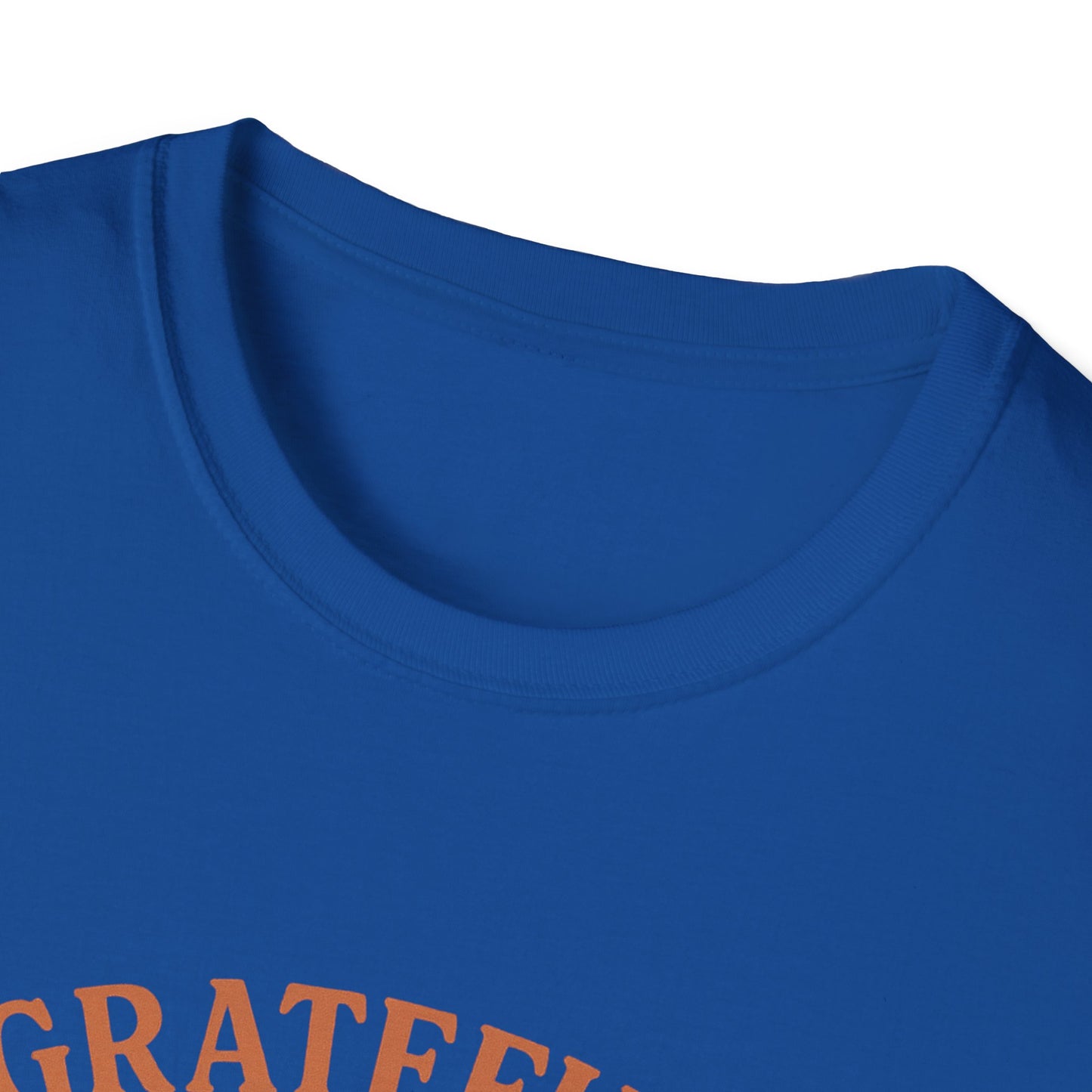 Grateful for My Cat T-Shirt