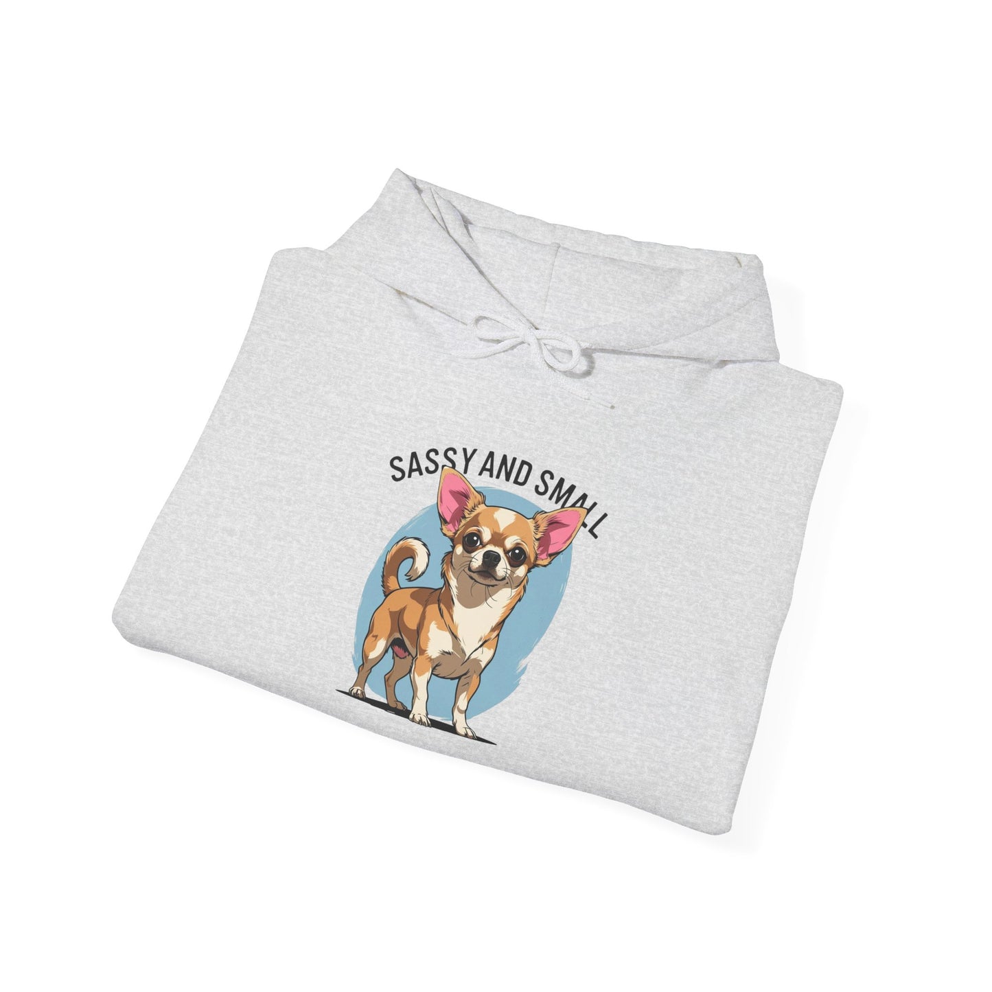 Sassy And Small Hoodie