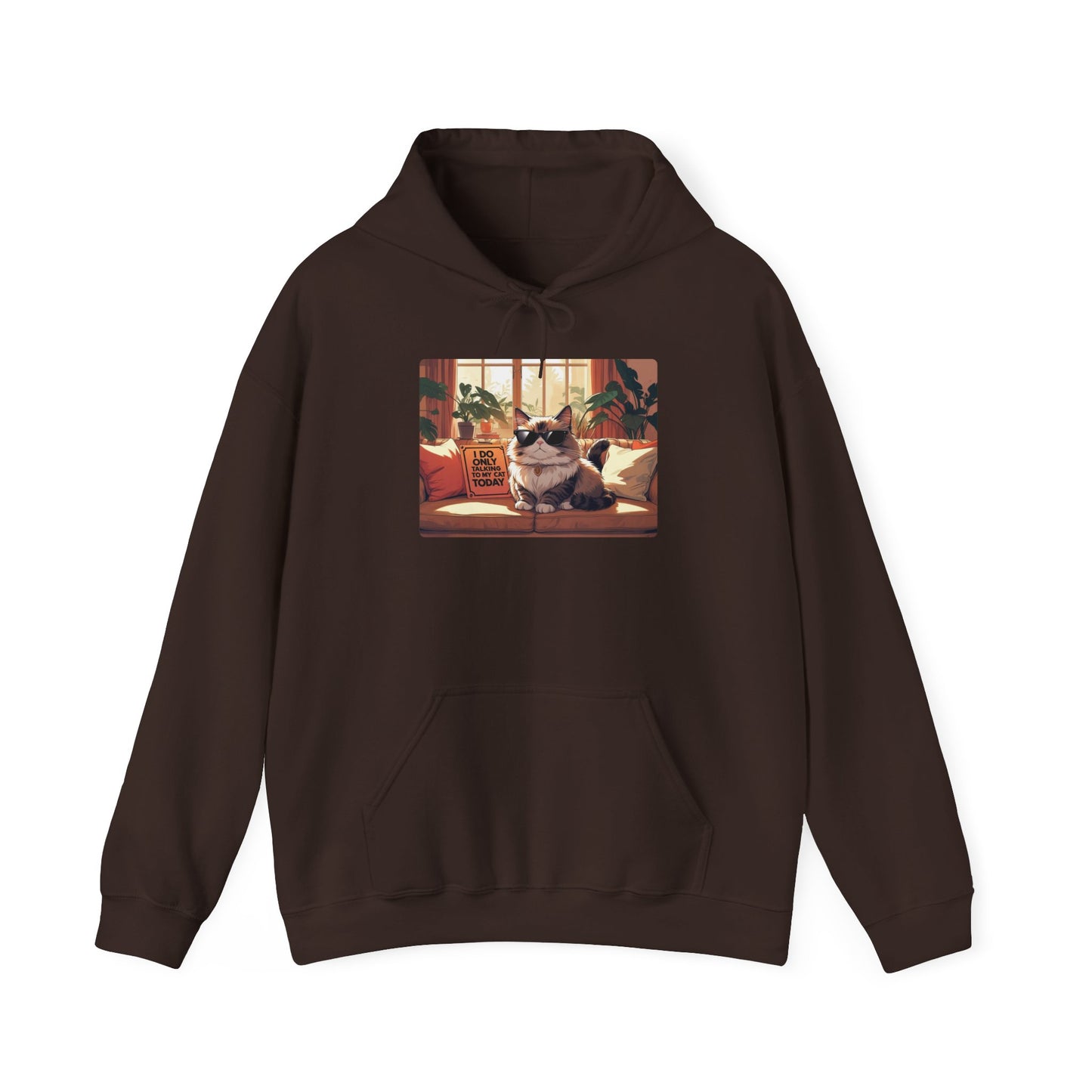 I Do Only Talking to My Cat Today Hoodie