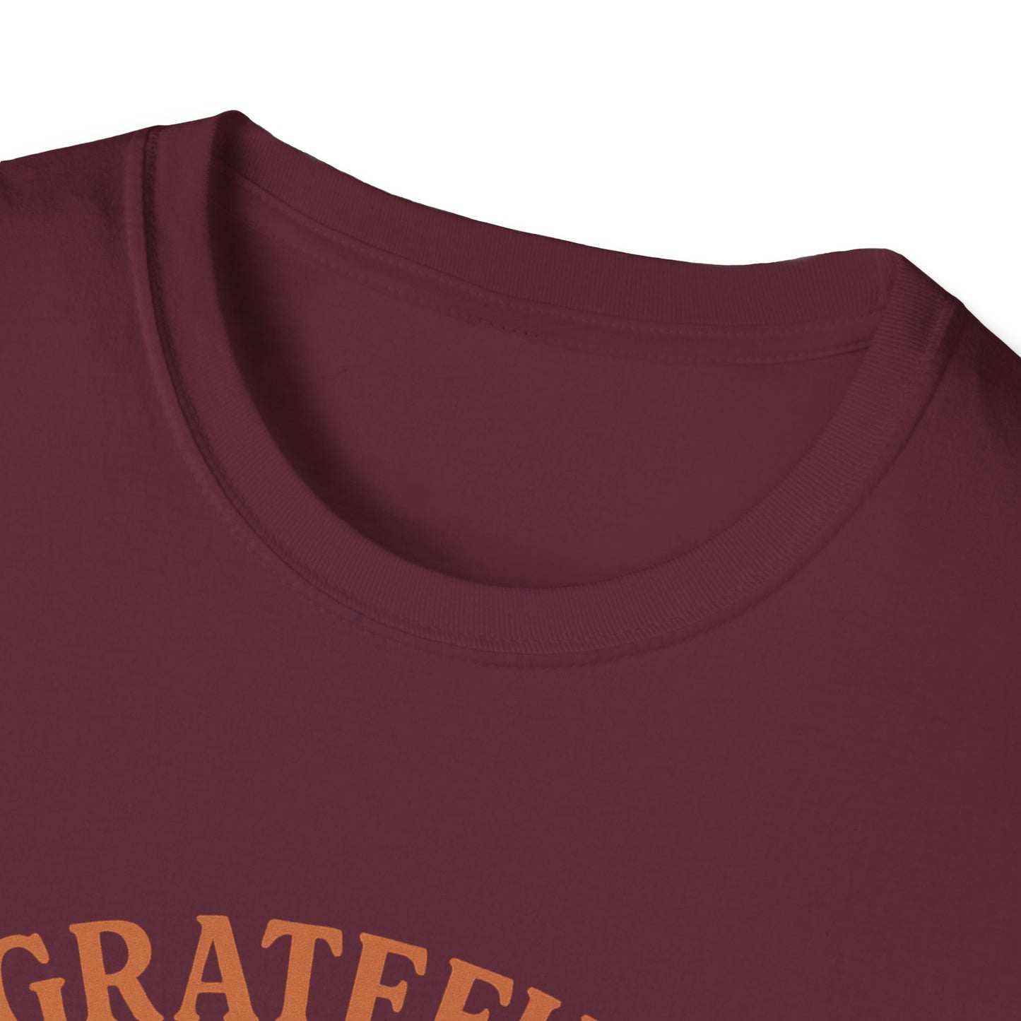 Grateful for My Cat T-Shirt