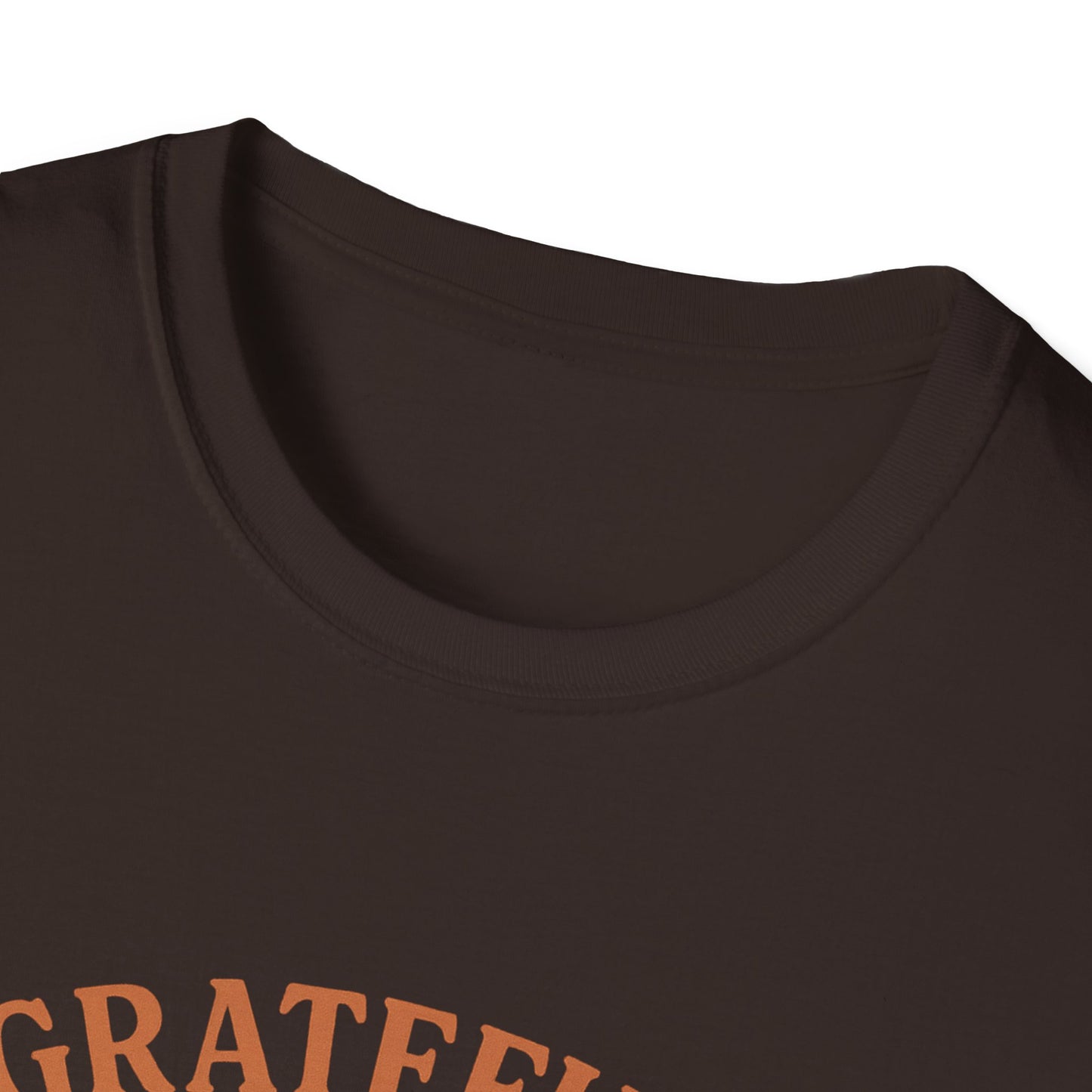 Grateful for My Cat T-Shirt