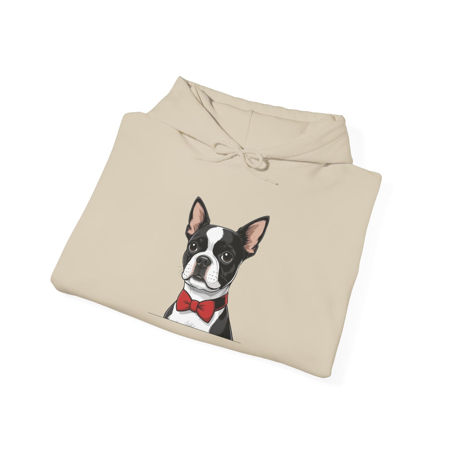 Boston Cutie Hoodie