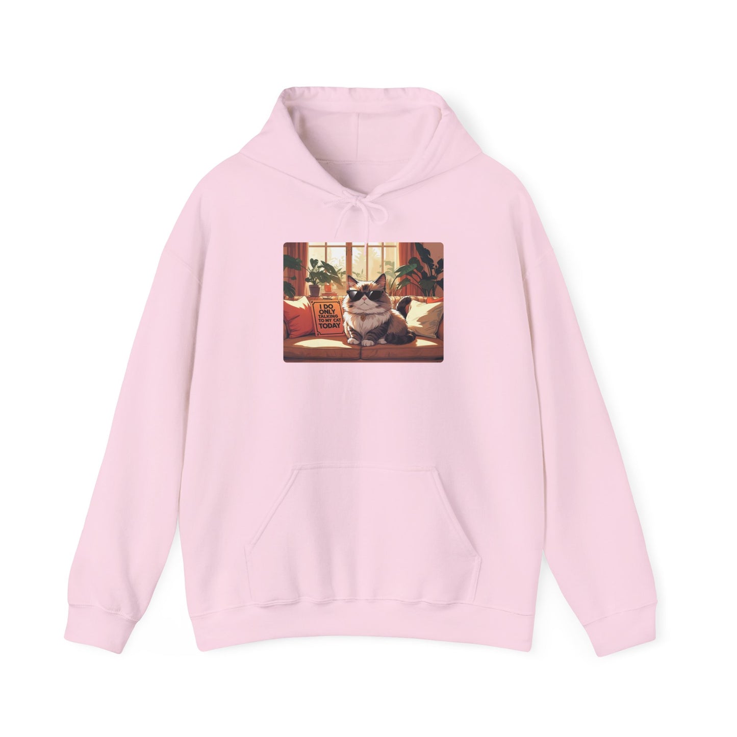 I Do Only Talking to My Cat Today Hoodie
