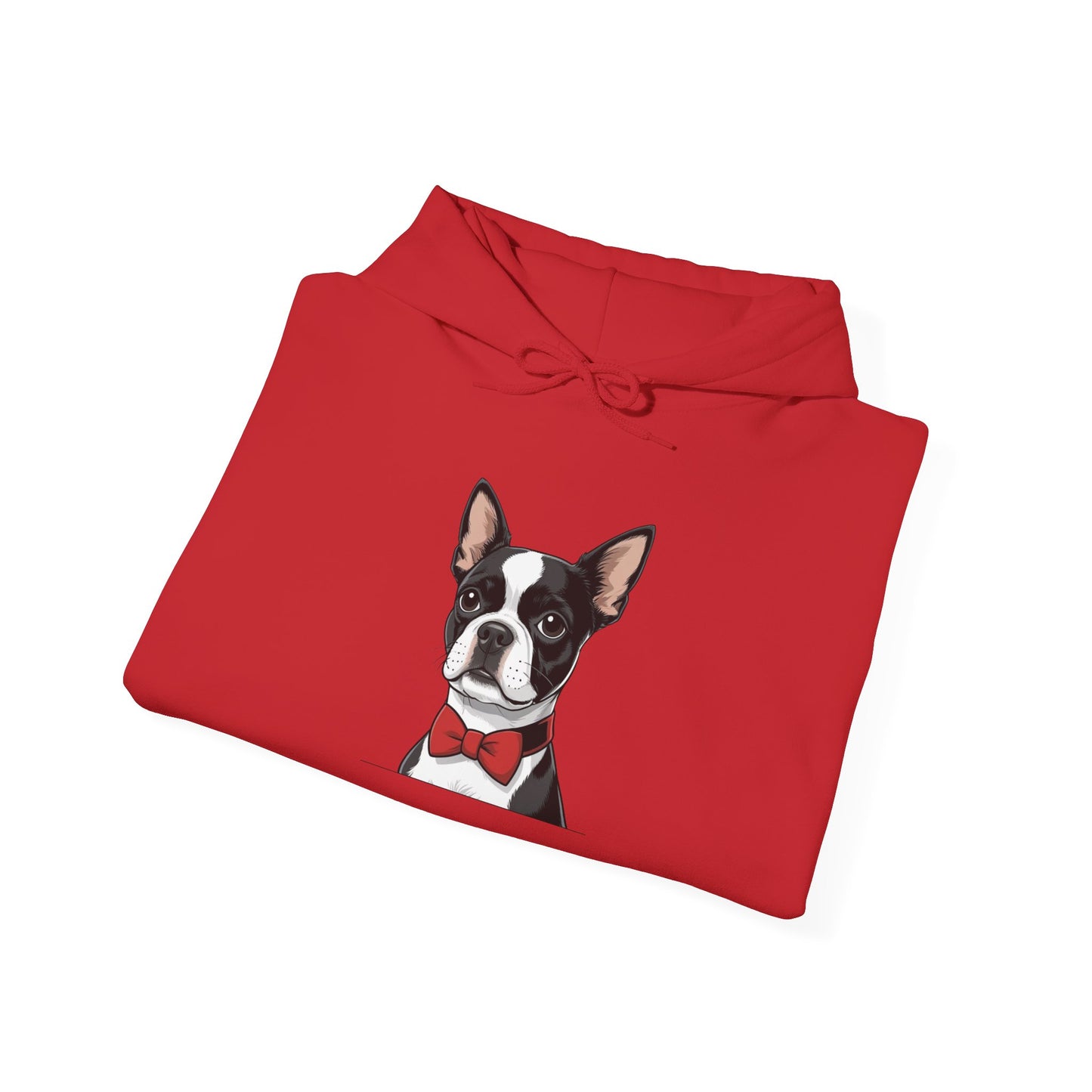 Boston Cutie Hoodie