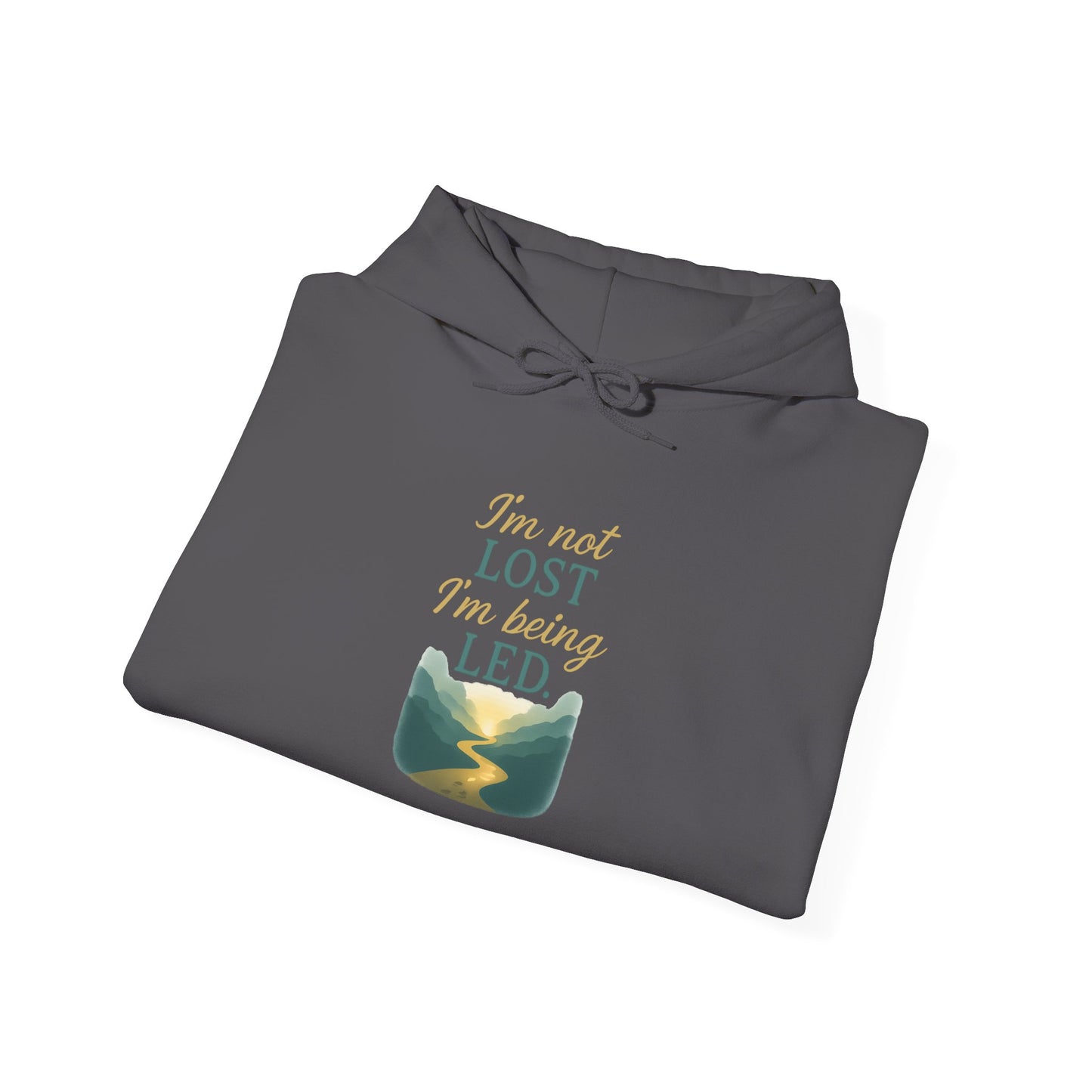 I’m Not Lost I’m Being Led Hoodie