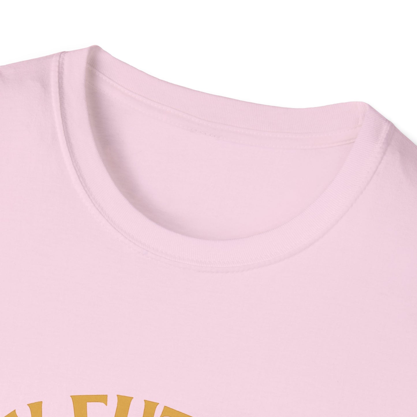 My Future Is Written T-Shirt