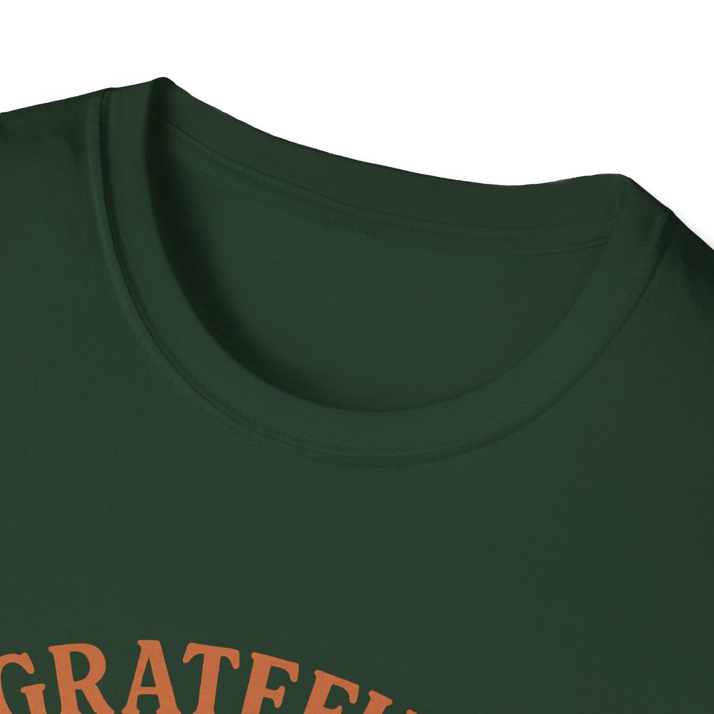 Grateful for My Cat T-Shirt