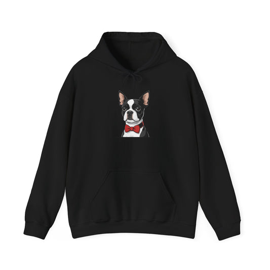 Boston Cutie Hoodie