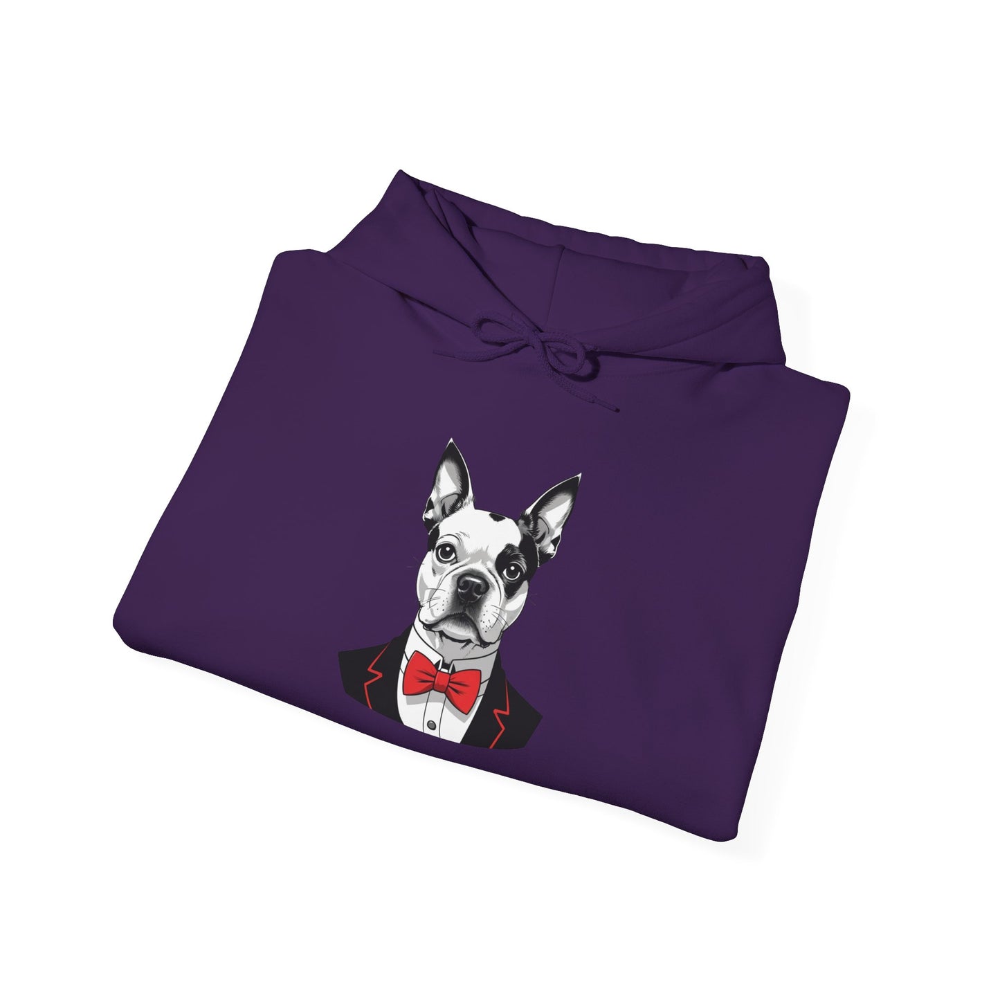 Boston Cutie Hoodie