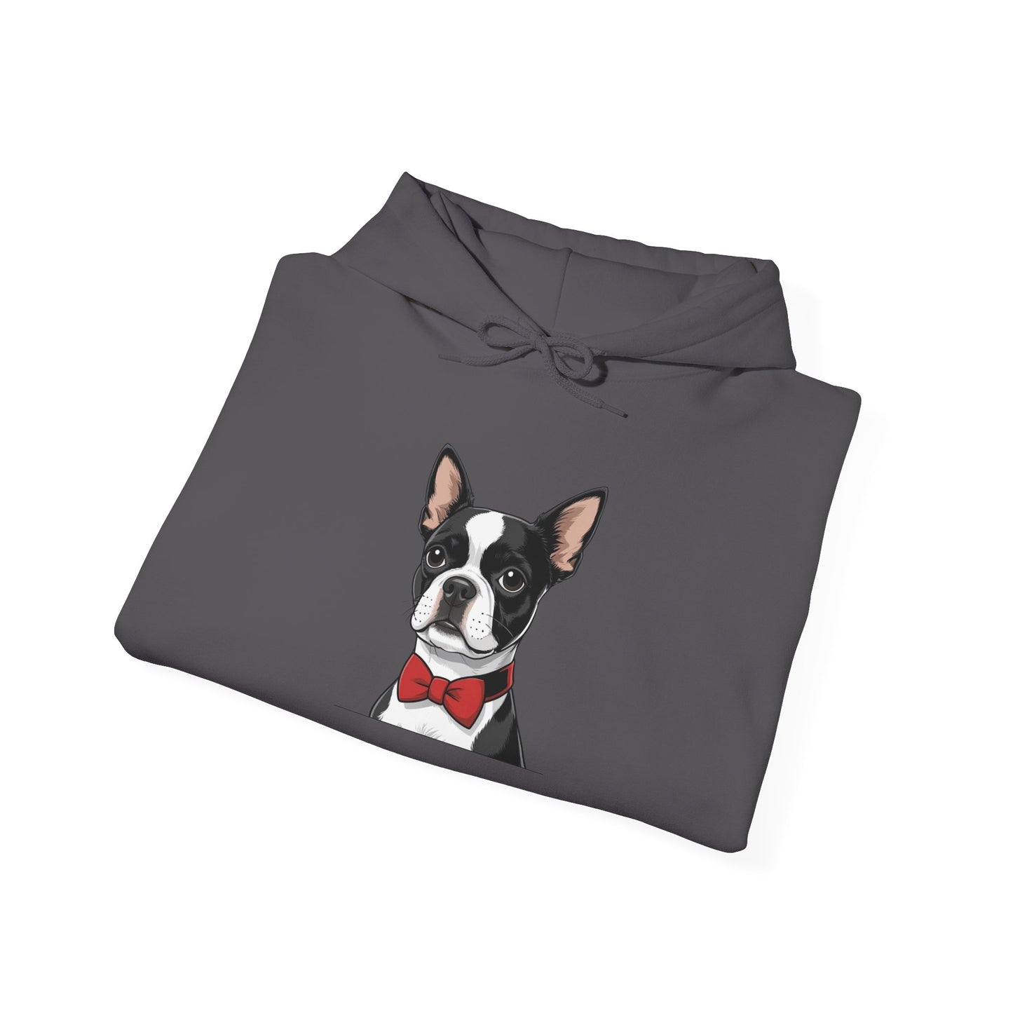 Boston Cutie Hoodie