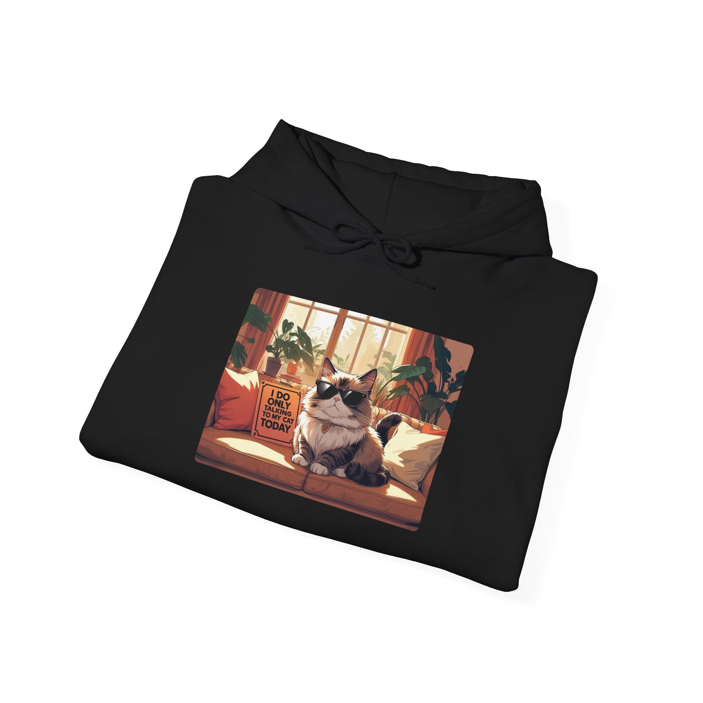 I Do Only Talking to My Cat Today Hoodie