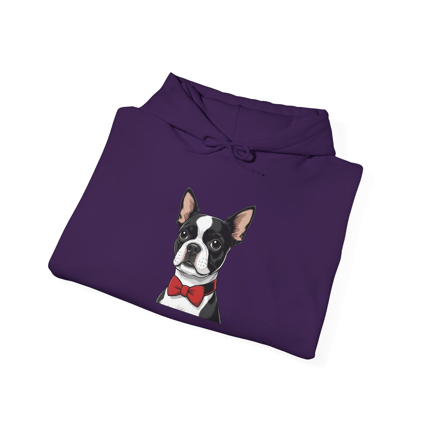 Boston Cutie Hoodie