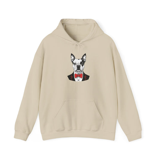 Boston Cutie Hoodie