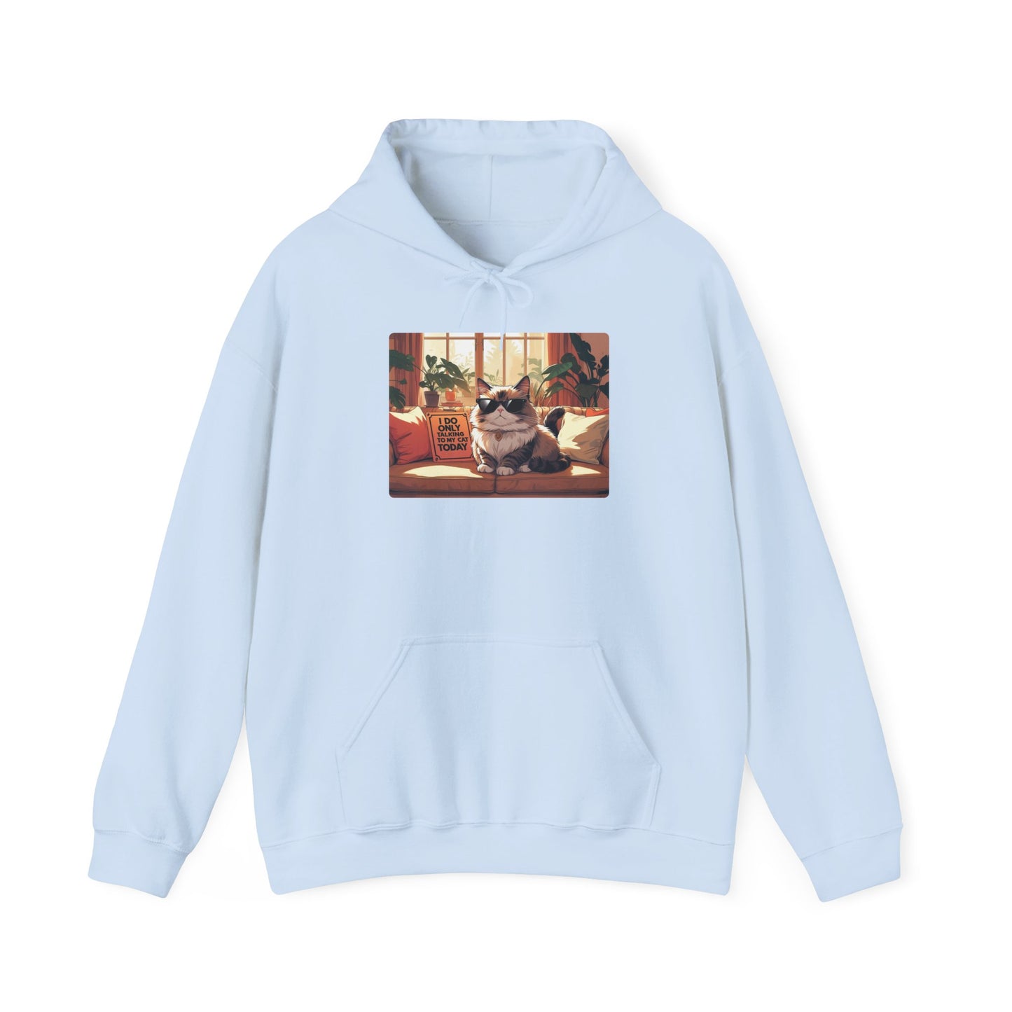 I Do Only Talking to My Cat Today Hoodie