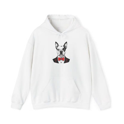 Boston Cutie Hoodie