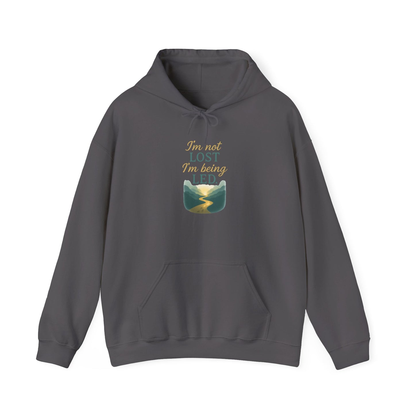 I’m Not Lost I’m Being Led Hoodie