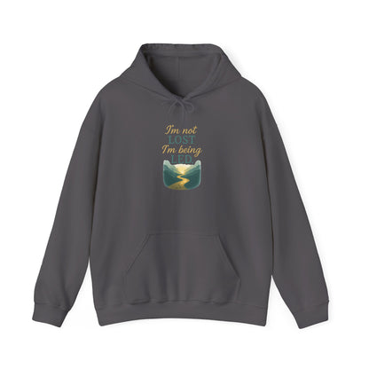 I’m Not Lost I’m Being Led Hoodie