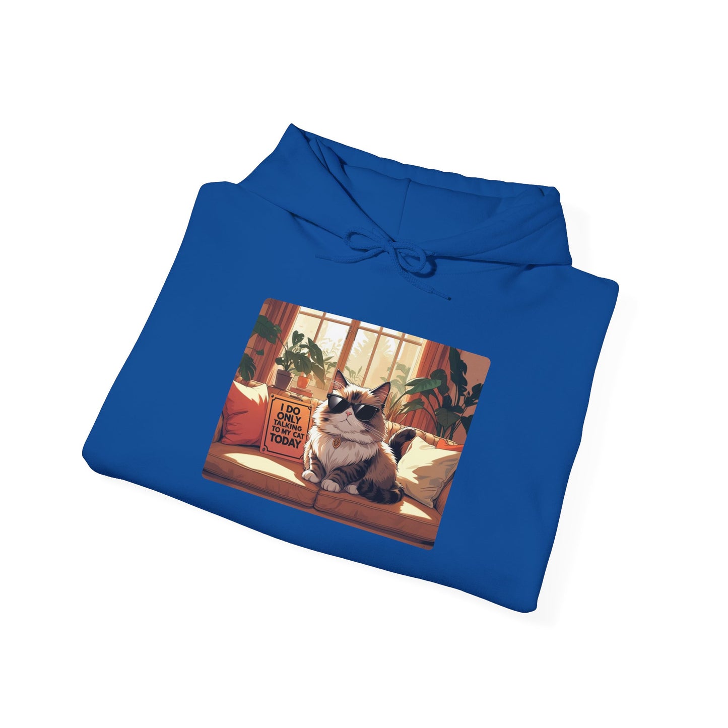 I Do Only Talking to My Cat Today Hoodie