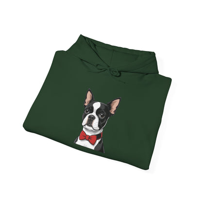 Boston Cutie Hoodie
