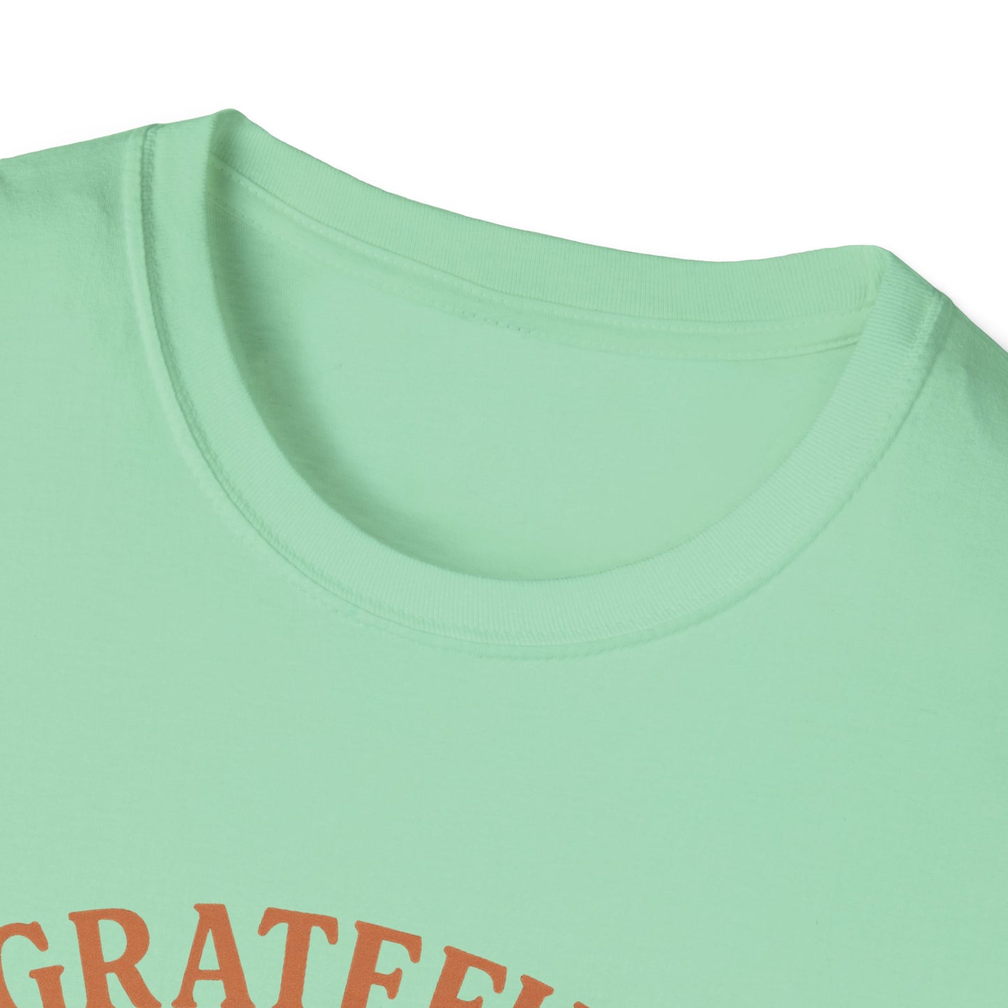 Grateful for My Cat T-Shirt