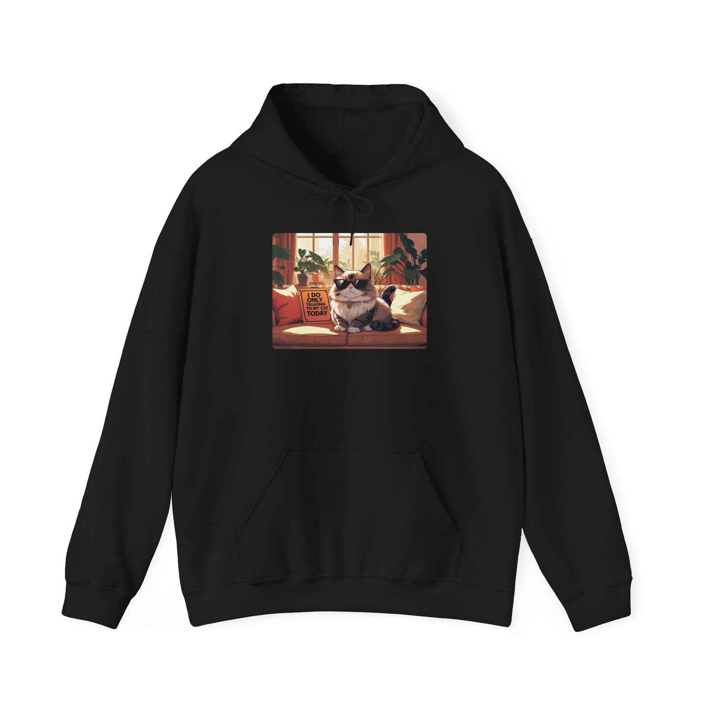 I Do Only Talking to My Cat Today Hoodie