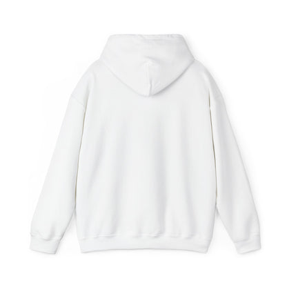Amalfi Coast  la Dolce Vita Hoodie