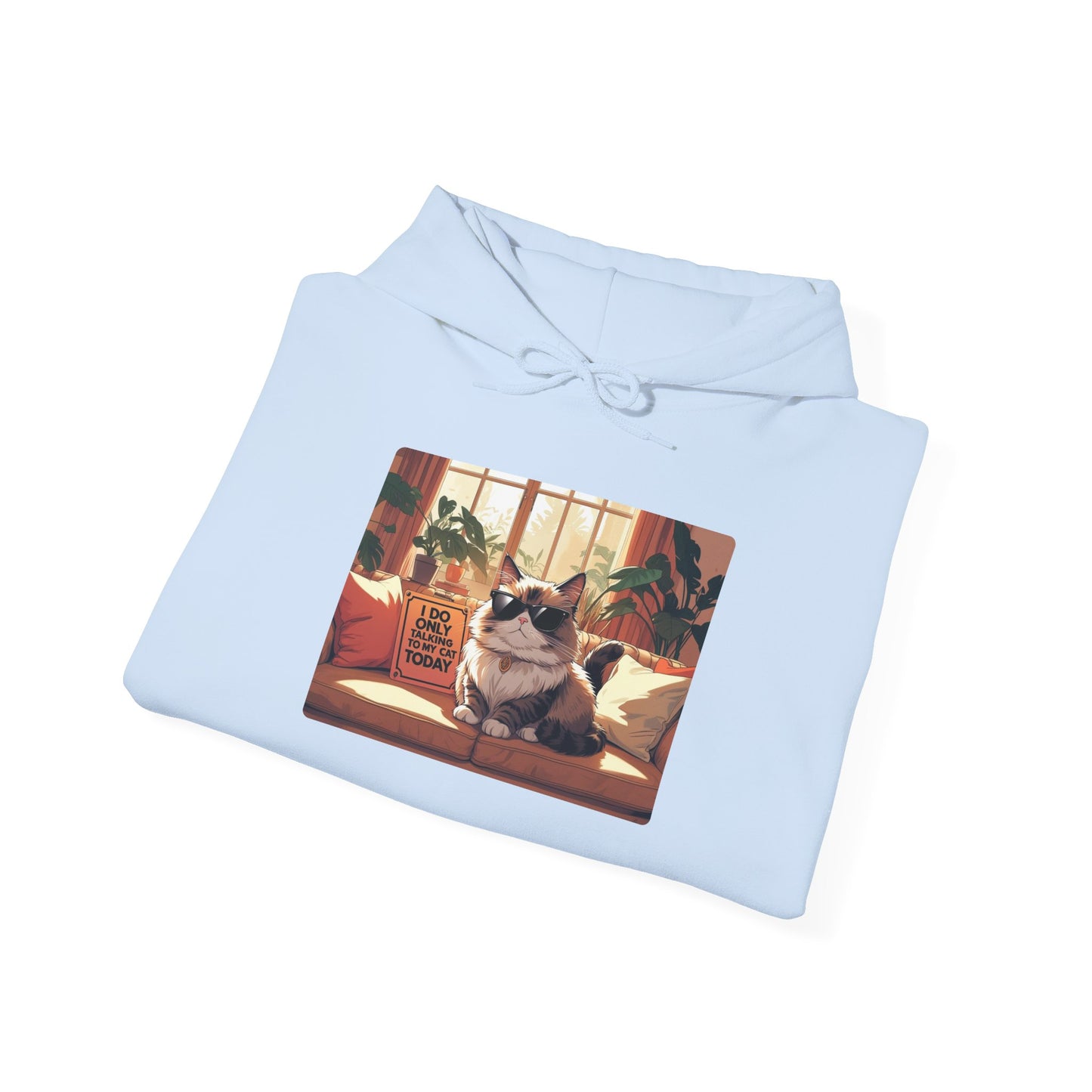 I Do Only Talking to My Cat Today Hoodie