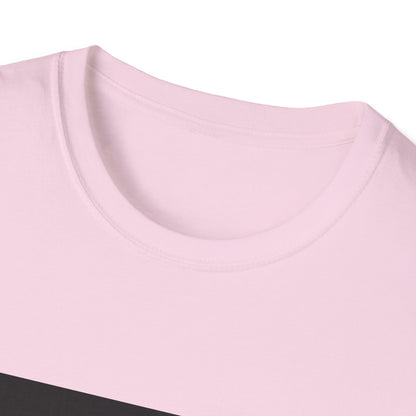 Historic Baseball T-Shirt