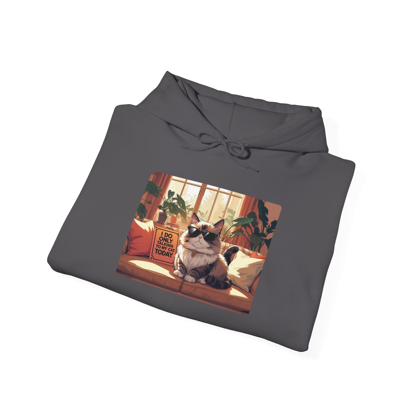 I Do Only Talking to My Cat Today Hoodie