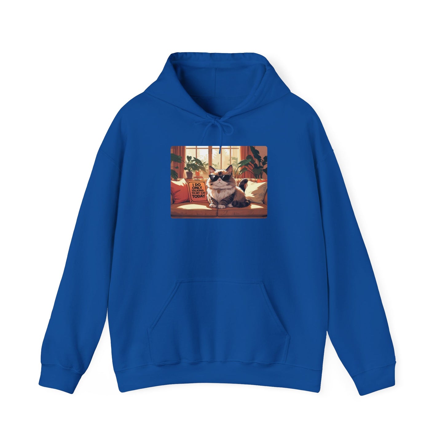 I Do Only Talking to My Cat Today Hoodie