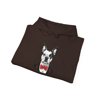 Boston Cutie Hoodie