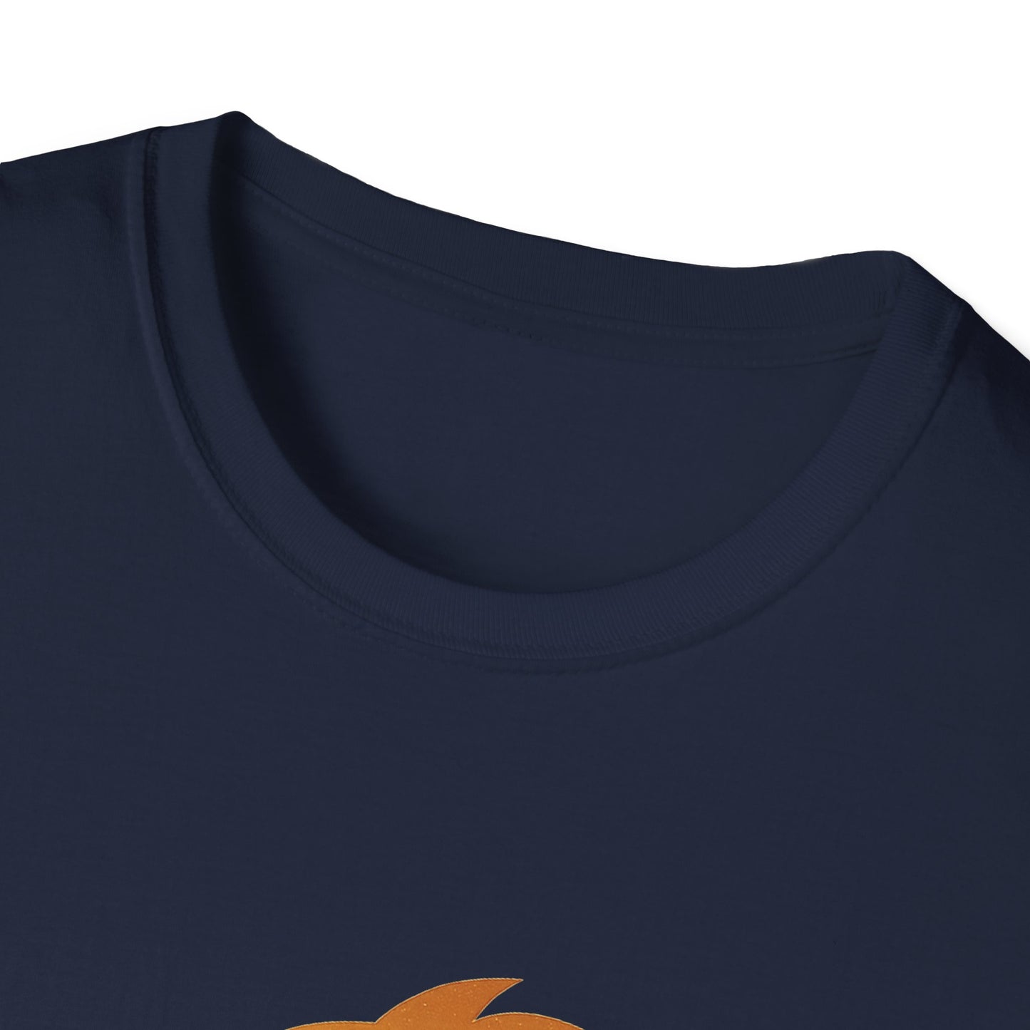 I Walk With Lions T-Shirt