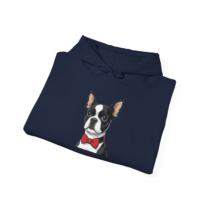 Boston Cutie Hoodie