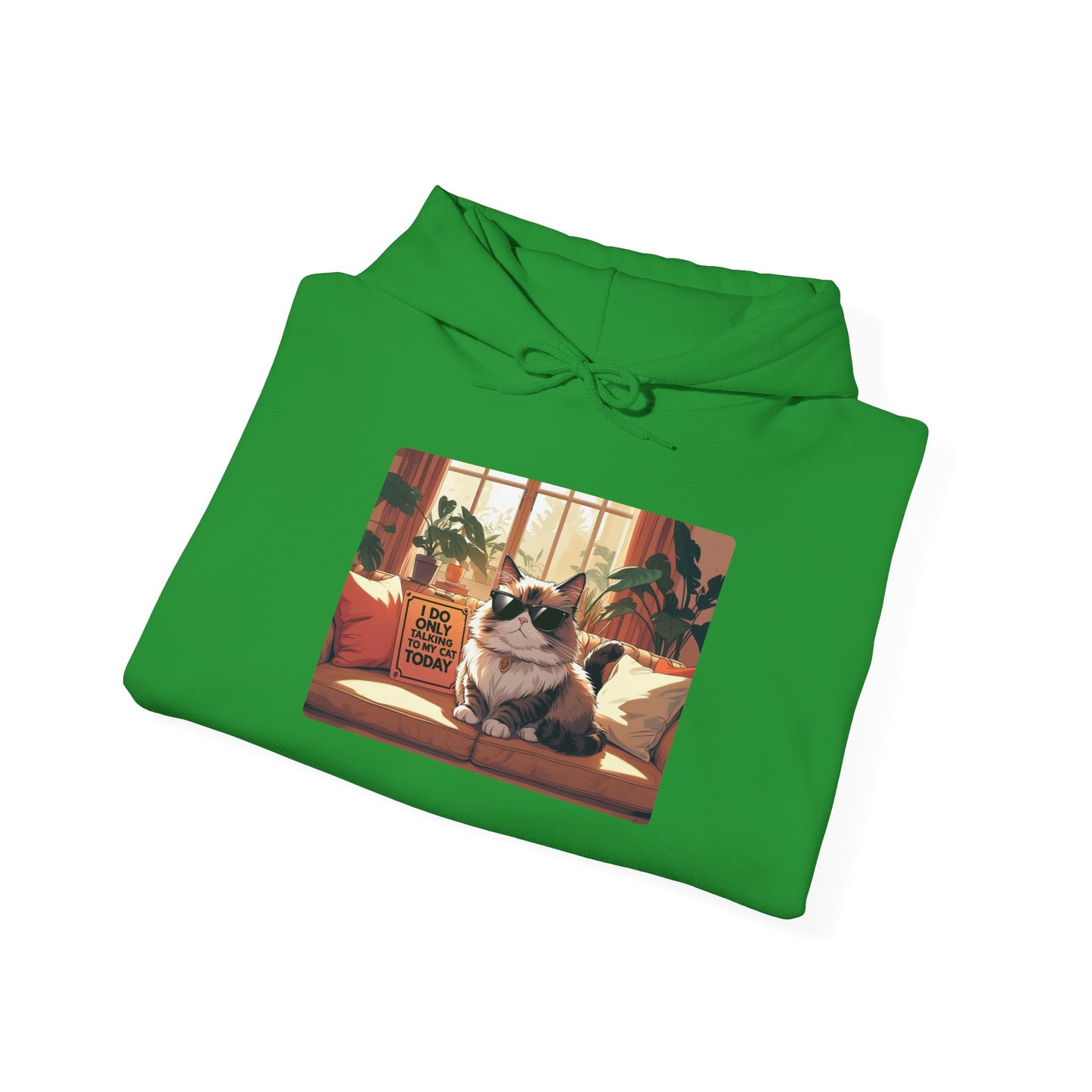 I Do Only Talking to My Cat Today Hoodie