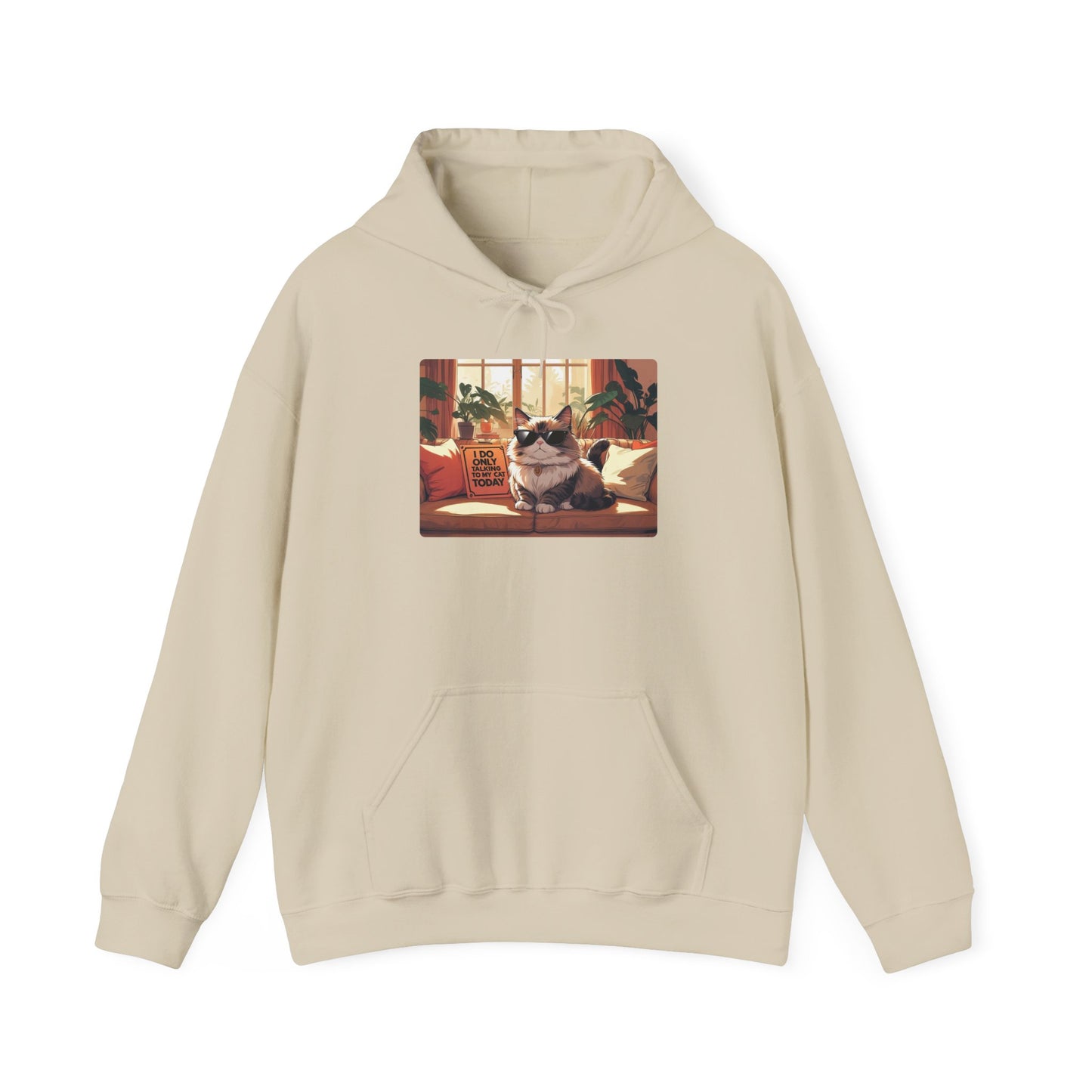 I Do Only Talking to My Cat Today Hoodie
