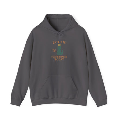 Faith Is Is Feline-Shaped Today Hoodie