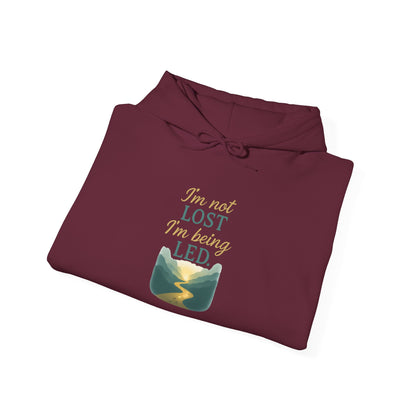 I’m Not Lost I’m Being Led Hoodie