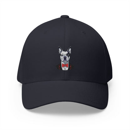Boston Cutie Hat