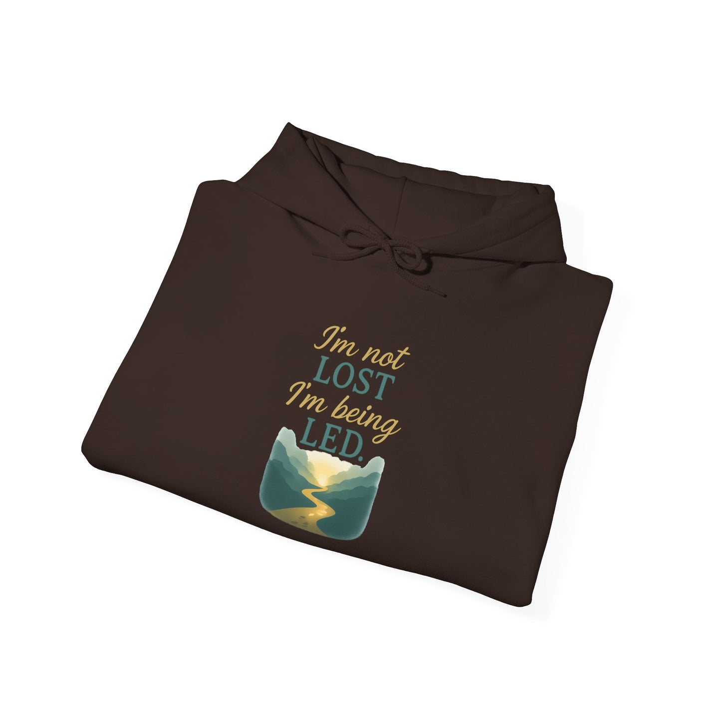 I’m Not Lost I’m Being Led Hoodie