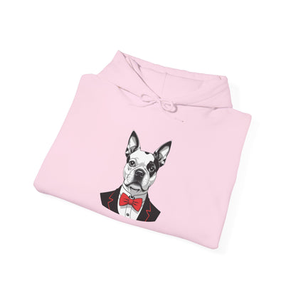 Boston Cutie Hoodie