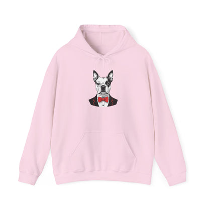Boston Cutie Hoodie