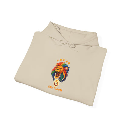 Galatasaray Hoodie