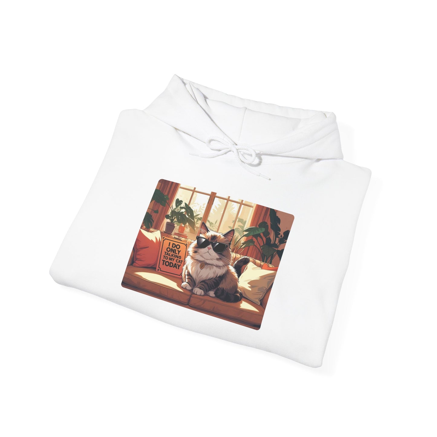 I Do Only Talking to My Cat Today Hoodie